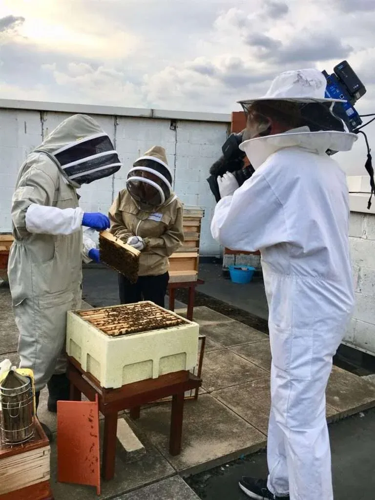 London beekeeping experience day