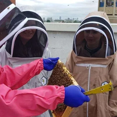 Beekeeping Experience Day at the East London Mosque - Sat 13 June 2026