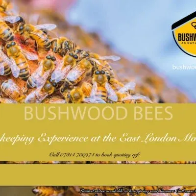 Beekeeping Experience Gift Voucher